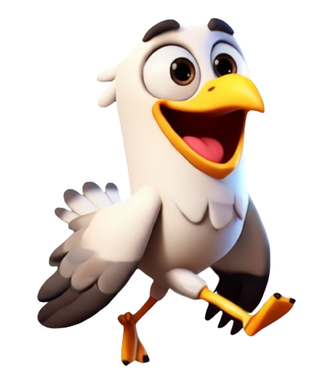 seagull